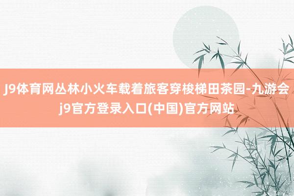 J9体育网丛林小火车载着旅客穿梭梯田茶园-九游会j9官方登录入口(中国)官方网站