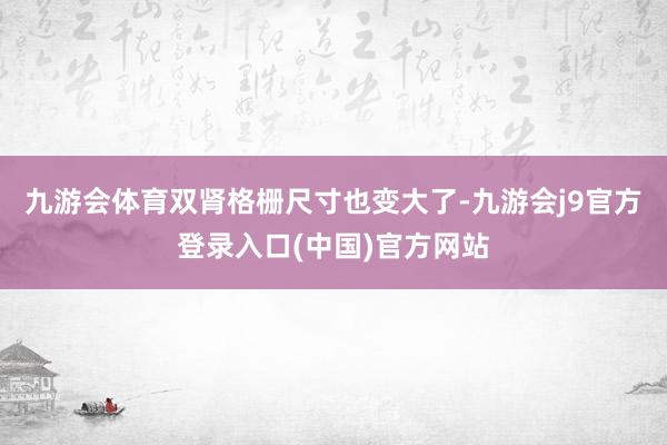 九游会体育双肾格栅尺寸也变大了-九游会j9官方登录入口(中国)官方网站