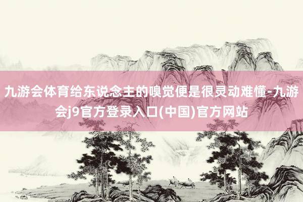 九游会体育给东说念主的嗅觉便是很灵动难懂-九游会j9官方登录入口(中国)官方网站