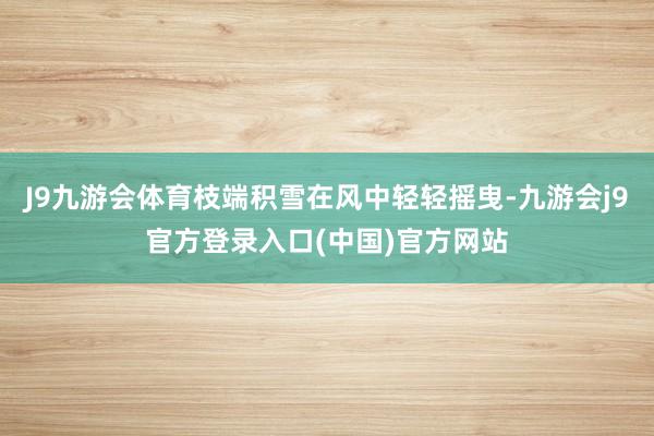 J9九游会体育枝端积雪在风中轻轻摇曳-九游会j9官方登录入口(中国)官方网站