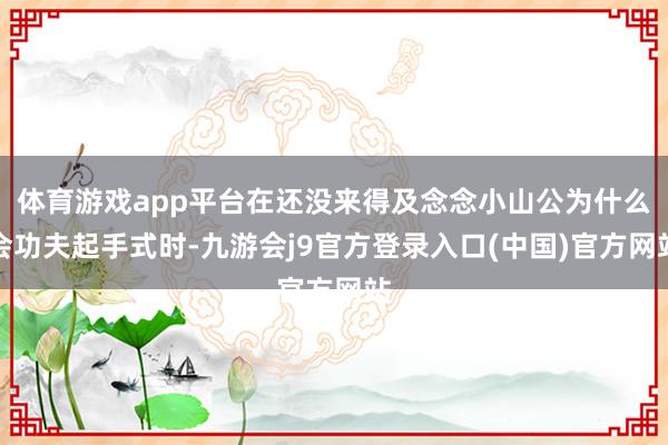 体育游戏app平台在还没来得及念念小山公为什么会功夫起手式时-九游会j9官方登录入口(中国)官方网站