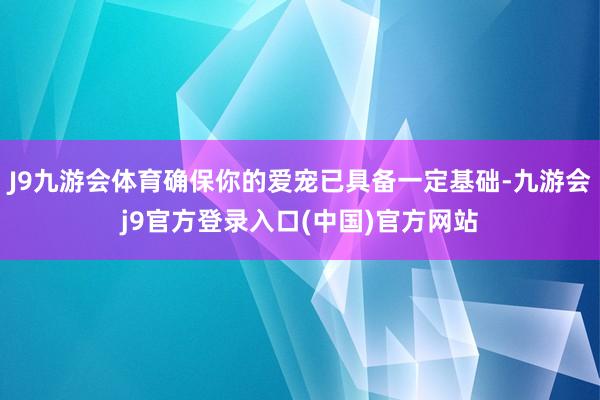 J9九游会体育确保你的爱宠已具备一定基础-九游会j9官方登录入口(中国)官方网站