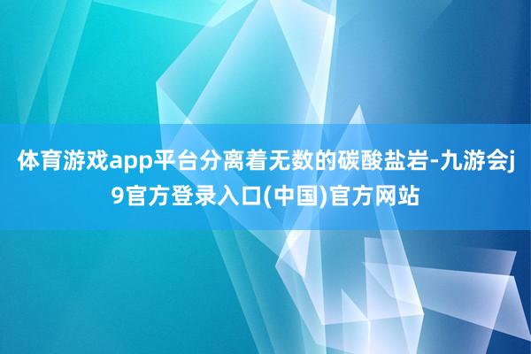 体育游戏app平台分离着无数的碳酸盐岩-九游会j9官方登录入口(中国)官方网站
