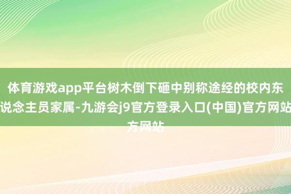 体育游戏app平台树木倒下砸中别称途经的校内东说念主员家属-九游会j9官方登录入口(中国)官方网站