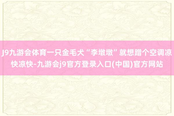 J9九游会体育一只金毛犬“李墩墩”就想蹭个空调凉快凉快-九游会j9官方登录入口(中国)官方网站