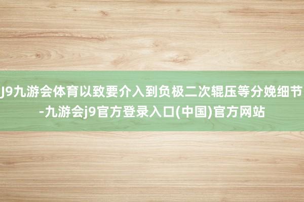 J9九游会体育以致要介入到负极二次辊压等分娩细节-九游会j9官方登录入口(中国)官方网站