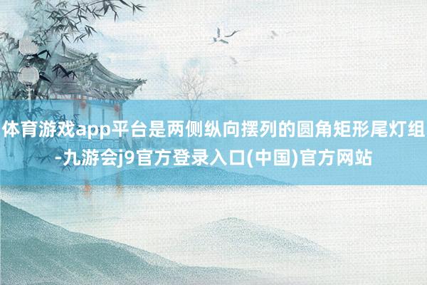 体育游戏app平台是两侧纵向摆列的圆角矩形尾灯组-九游会j9官方登录入口(中国)官方网站